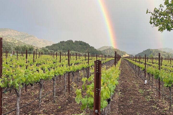 Wine Tour Pros - Sprinter Van Wine Tour: Up To 14 Guests