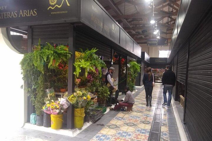 Bogota City Full Tour 5 Hours Candelaria and Monserrate