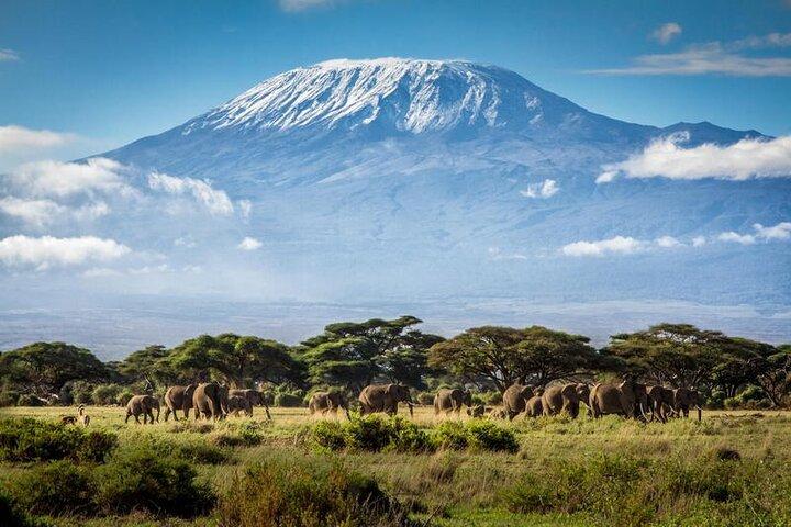 Kilimanjaro Machame Route 7 Days Expedition