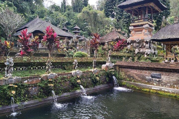 Ubud Private Tour : Waterfall, Temple, Rice terrace and Swing