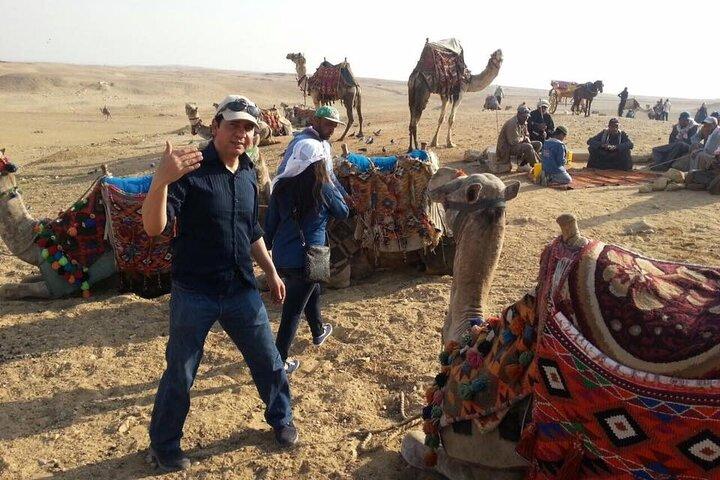 Cairo Layover Tour from Cairo Airport to Giza Pyramids Eg- Museum and Eg-Bazaar