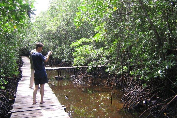 Private Stone Town & Spice Farm Tour