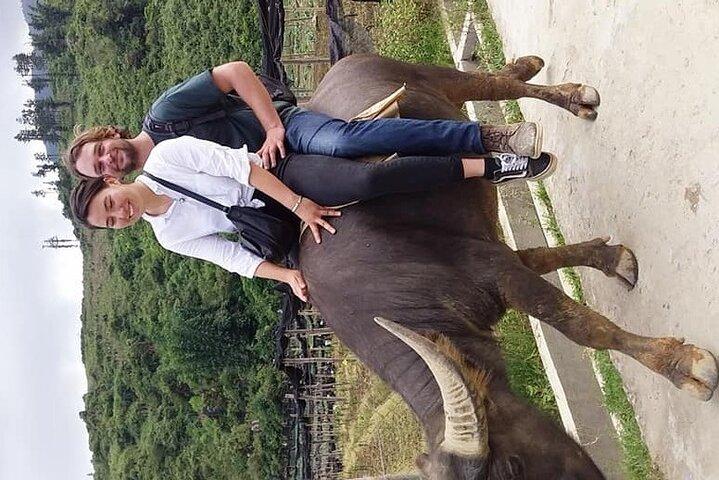 Sapa private: One day of funny Buffalo Ride & Trekking Tour