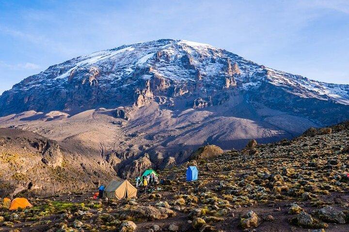 Kilimanjaro Machame Route 7 Days Expedition