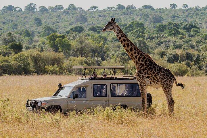 Tanzania family safari | 8 Days Family Safari in Tanzania