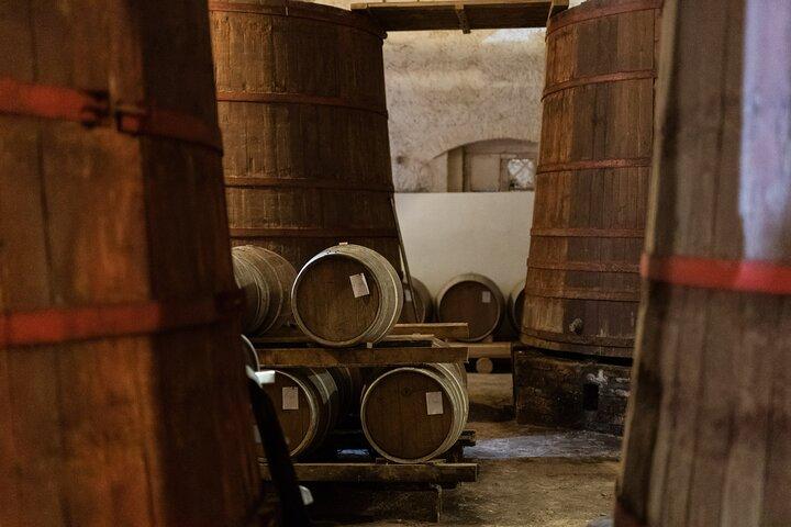 Private Food and Wine Tour in the Cellar with Tastings