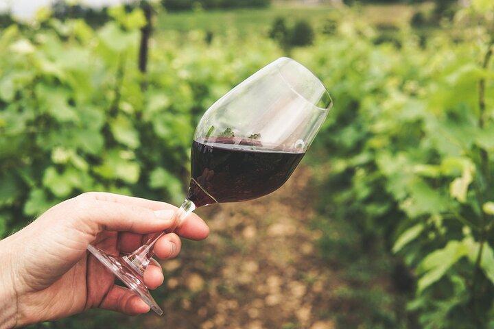 Wineries Tour Sao Paulo