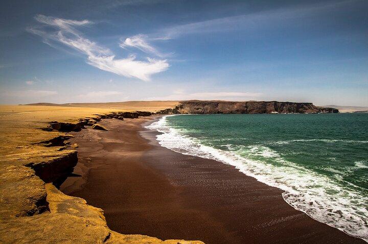 Paracas National Reserve Half-Day Tour