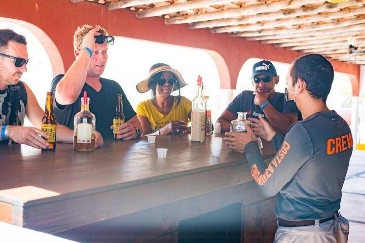 Half-Day San José del Cabo Zip Line and Rappel Adventure