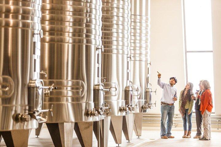 Cafayate Wine Trail Excursion: Explore Salta's Vineyards