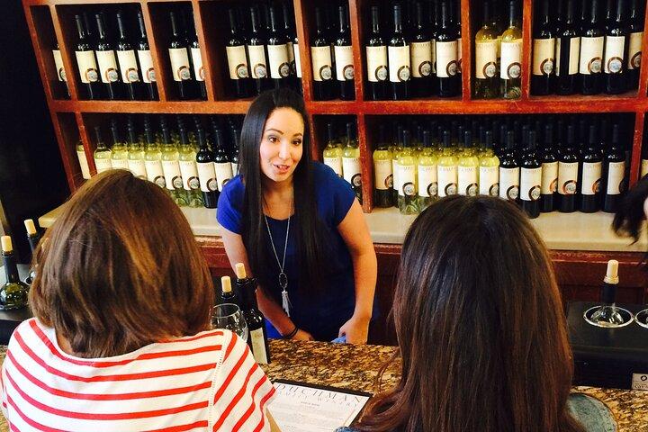Half-Day Hill Country Wine Shuttle From Austin