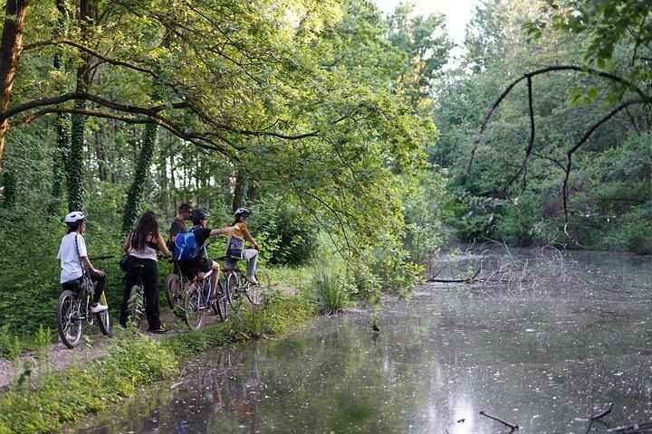 The Milan you don't expect, bike tour with picnic on the lake