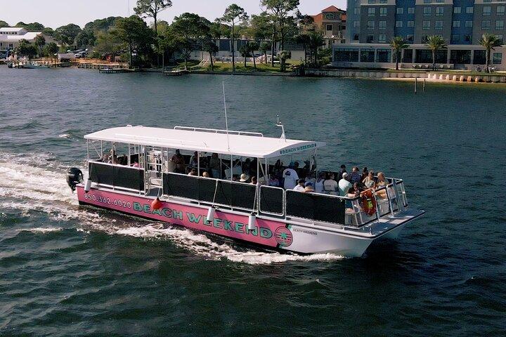 Family-Friendly Snorkeling and Dolphin Tour from FWB