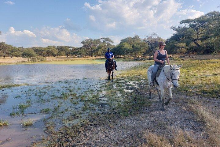 Maun Horse Riding Safari in Private Game Lodge