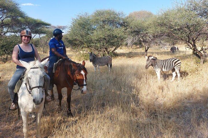 Maun Horse Riding Safari in Private Game Lodge