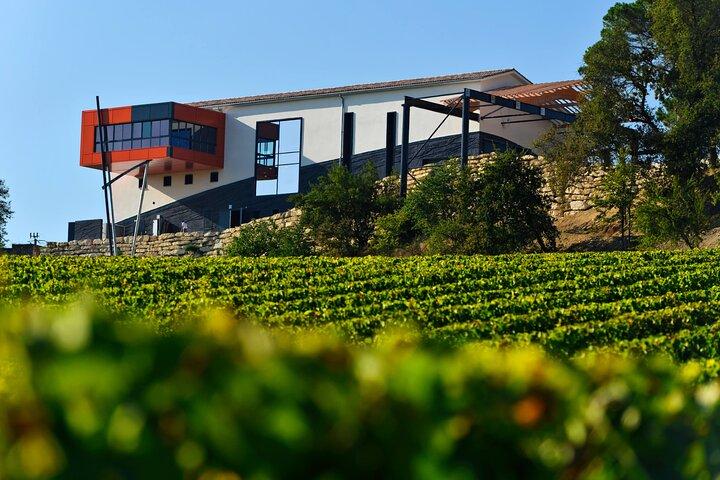 Medoc Private Half Day Wine Tour from Bordeaux