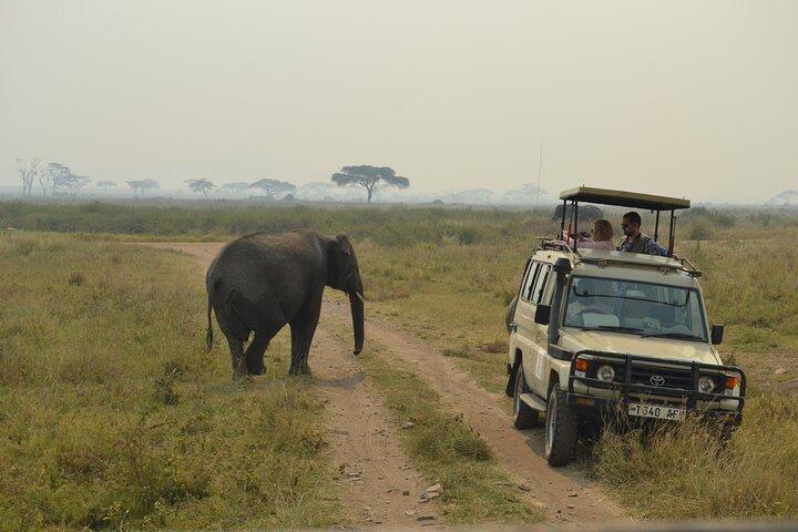7-Day North Tanzania Classic Safari
