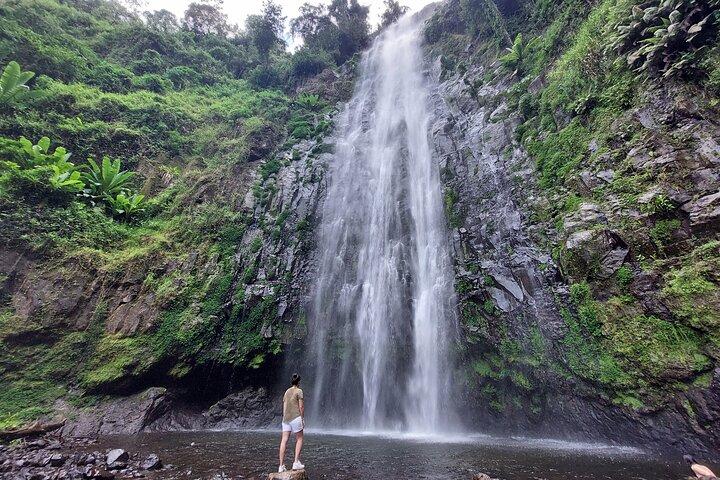 Materuni Waterfalls and Coffee Tour in Moshi
