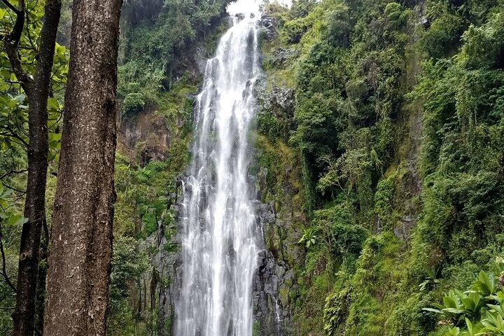 Private Tour to Materuni waterfalls, coffee tour & Kikuletwa hot- springs
