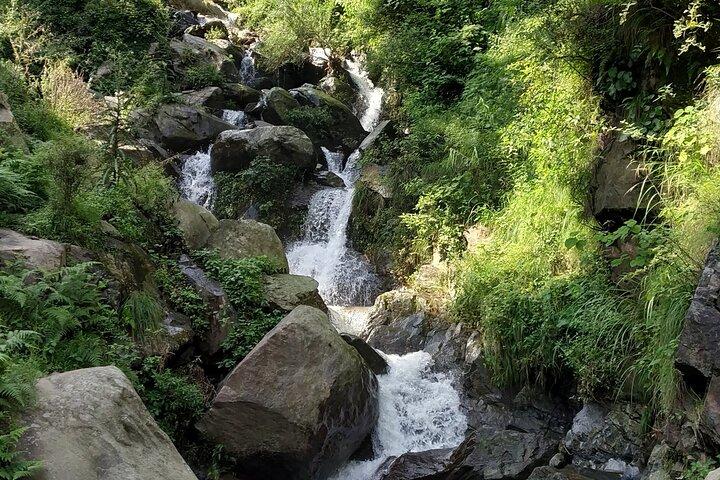 Private 6 hrs Mcleodganj & Dharamshala City Tour