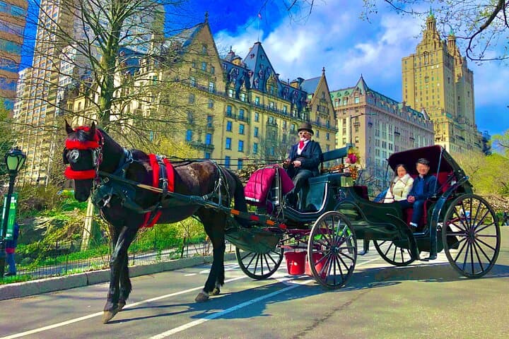 VIP Central Park Experience Tour with photos 50min~Skip the line