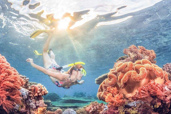 Snorkeling at Blue Lagoon Bali with Lunch and Transport