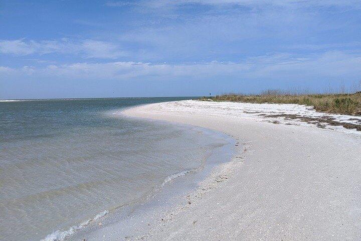 Three Hour Shelling Cruise to Shell Key Preserve from John's Pass