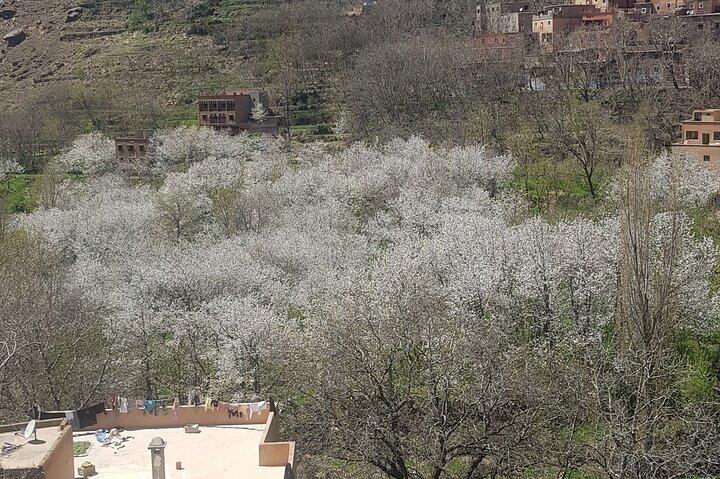 Atlas mountains Imlil valley exploring day tours