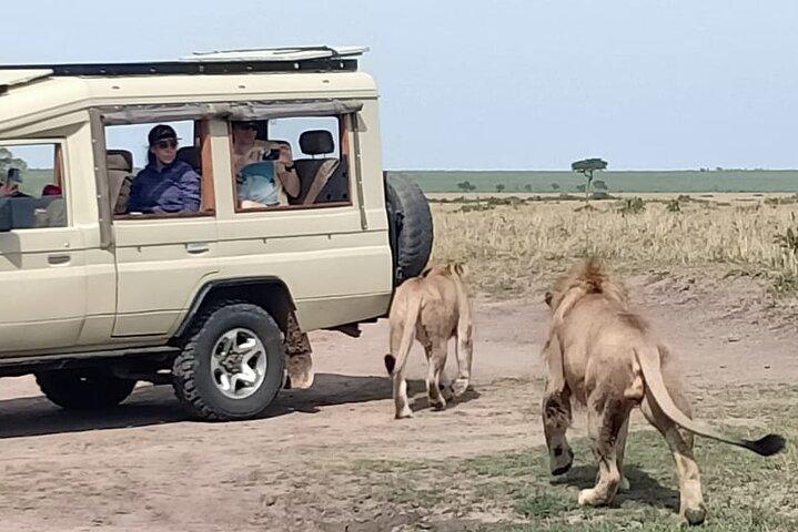 Kenya Safari 7 Days 6 Nights