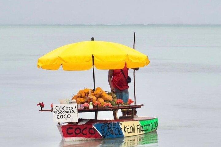 Fully Day Tour: Dolphin Encounters, Crystal Rock at Benitiers Island
