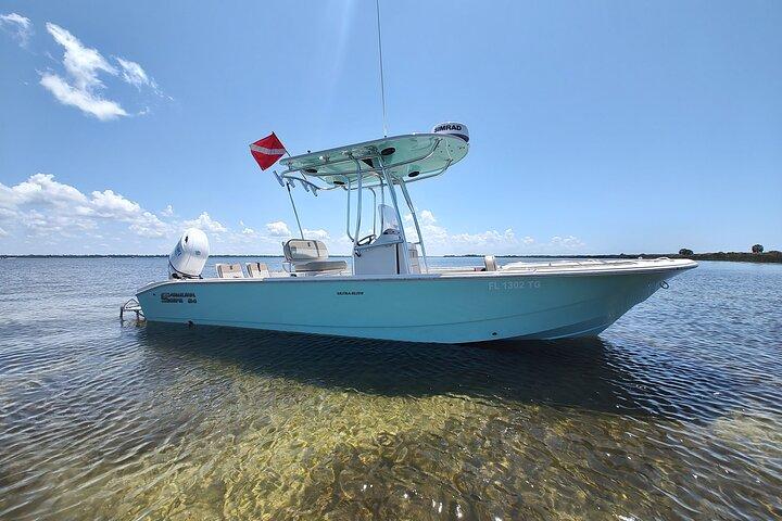 2-Hour Private Sightseeing Dolphin Tour in Panama City Beach