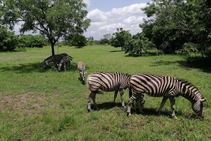 Full Day Accra Safari & private Boat Cruise Tour