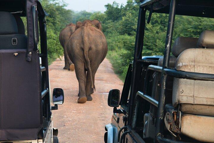 2 Days Tour To Bentota Galle & Yala From Colombo