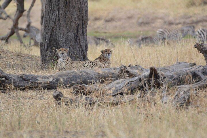 7-Day North Tanzania Classic Safari