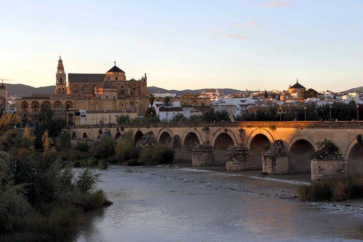 Cordoba and its Mosque from Granada with Semiprivate Transfer