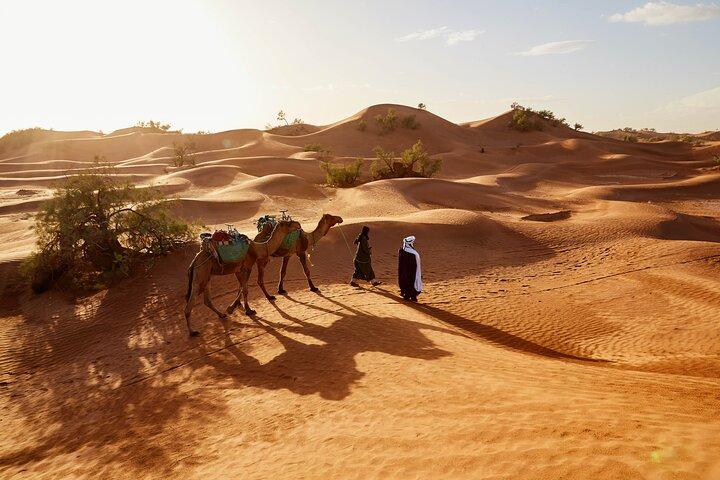 Overnight Tour From Fes to Sahara Desert