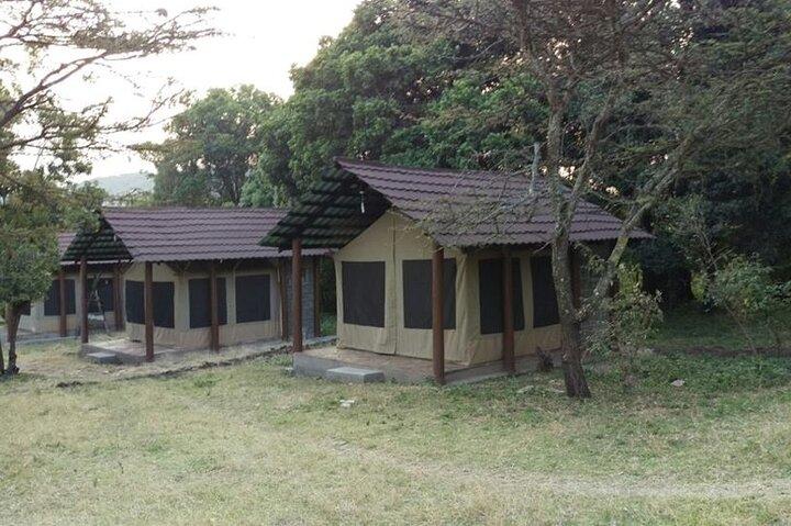 6 Days in Masai Mara Interactiv, Lake Nakuru and Amboseli