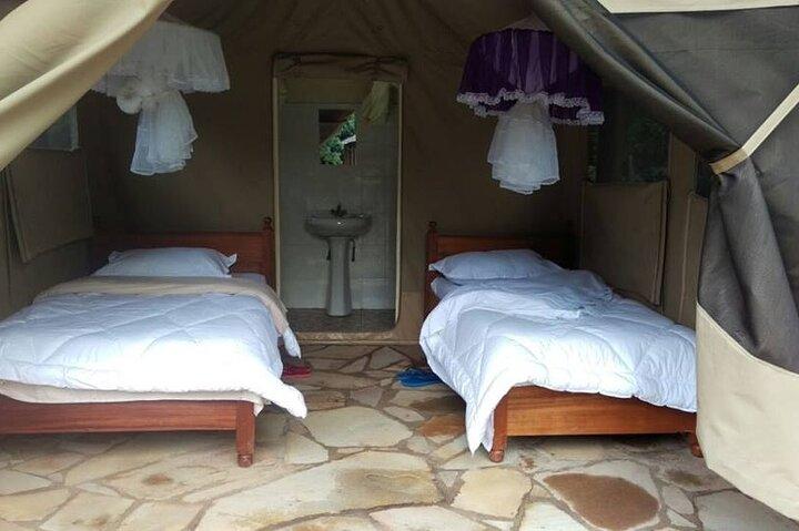 6 Days in Masai Mara Interactiv, Lake Nakuru and Amboseli
