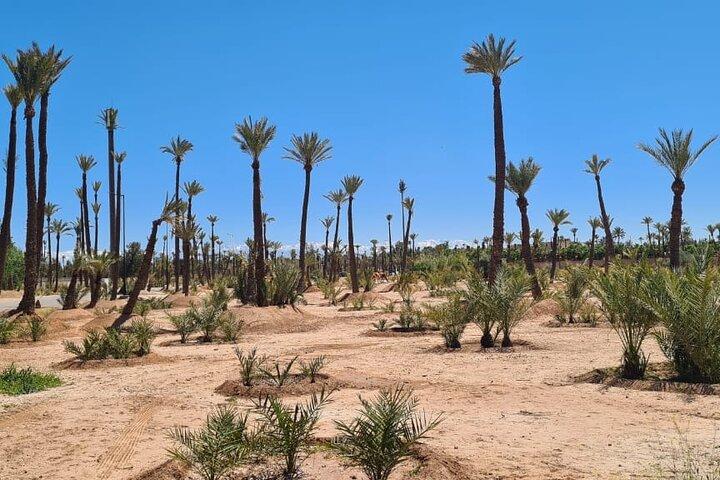 Private Half-Day Guided Tour of Marrakech