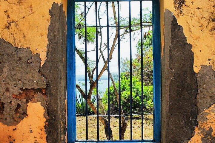 Prison Island Tour, Stone Town, Secret Garden, Kuza Cave, Paje Beach, The Rock