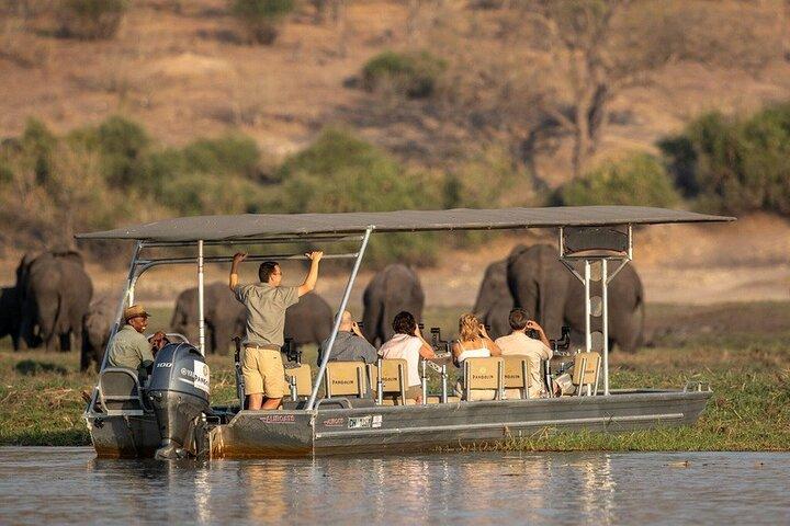 Full-Day Chobe Safari from Victoria Falls with Lunch