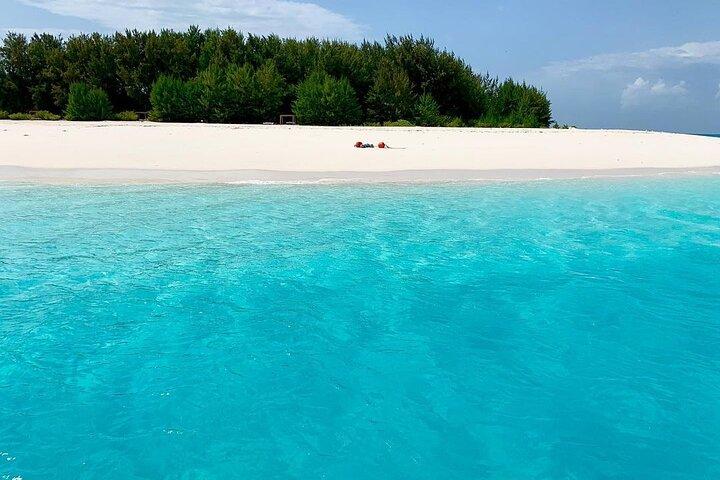 Dolphin Tour; Le Saint Tropez; Nungwi Beach & Kendwa Beach Tour