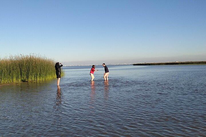 Tigre Safari Delta (4 hours PRIVATE boat tour, Buenos Aires view)