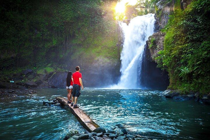 Ubud Private Tours with Jungle Swing Experience - all inclusive