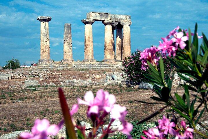 Olive Oil taste Private Tour from Athens or Nafplio includes: Corinth,Perachora