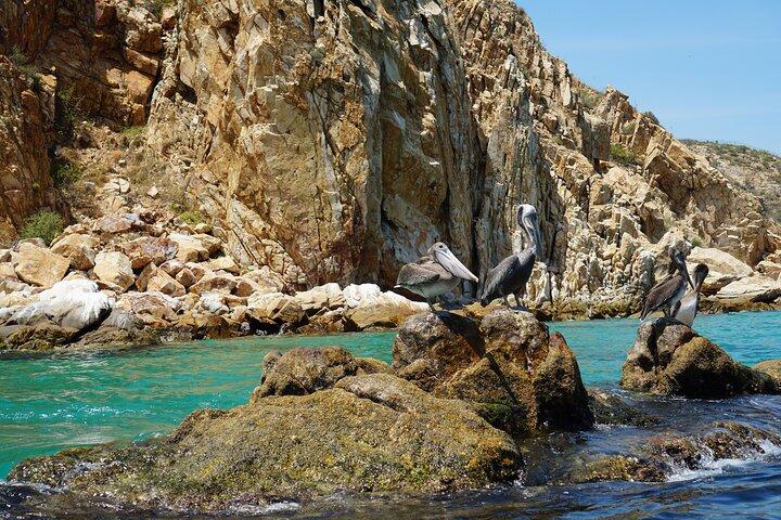 Los Cabos Deluxe City Tour: San Jose, San Lucas and The Arch
