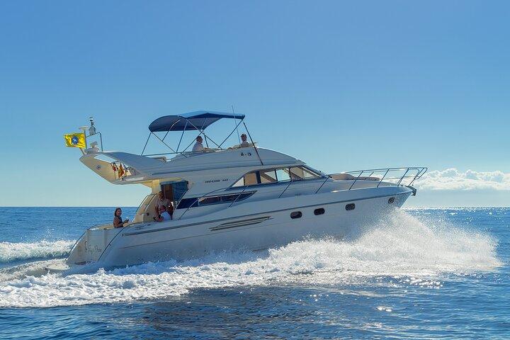Whales and Dolphins excursion on a Luxury Yacht in Canary Islands