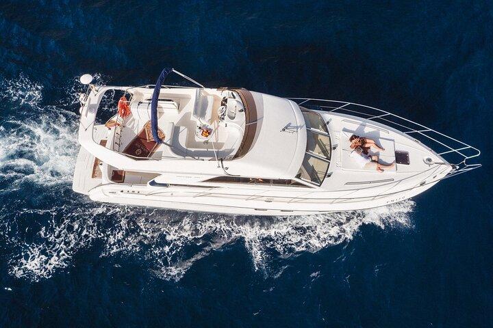 Whales and Dolphins excursion on a Luxury Yacht in Canary Islands
