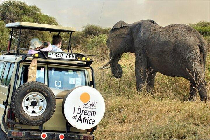 10-Day Amazing Comfort Camping Safari
