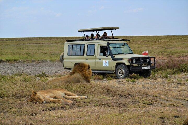 7-Day North Tanzania Classic Safari